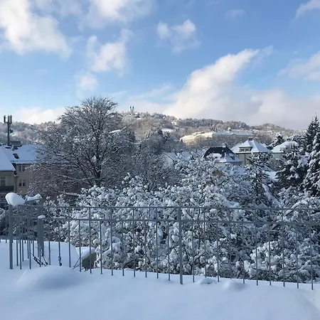 Stadtoase Mit Traumhaftem Ausblick * 林茨