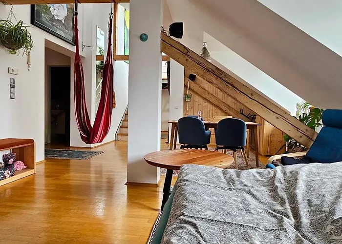 Stadtoase Mit Traumhaftem Ausblick Linec